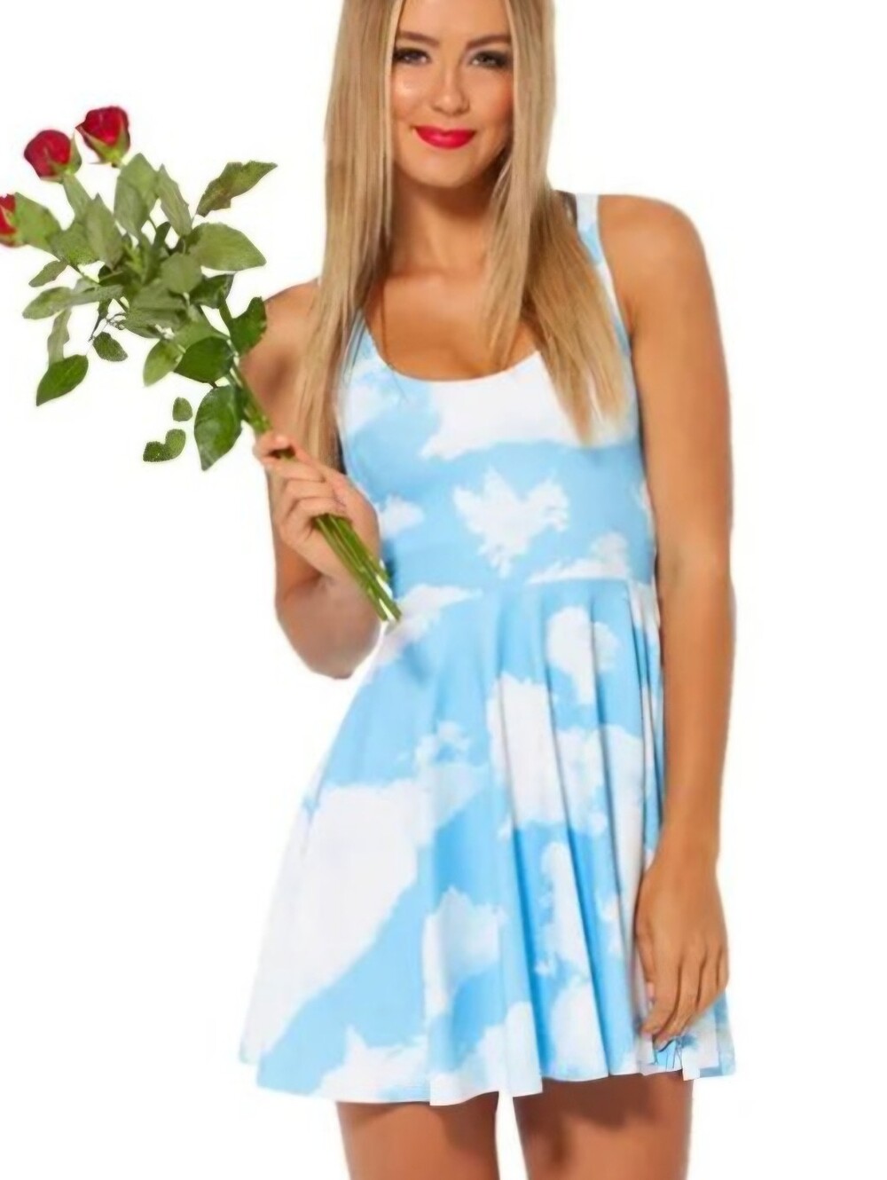 BlackMilk Clouds Reversible Skater Dress - Long Torso Small - Picture 8 of 8